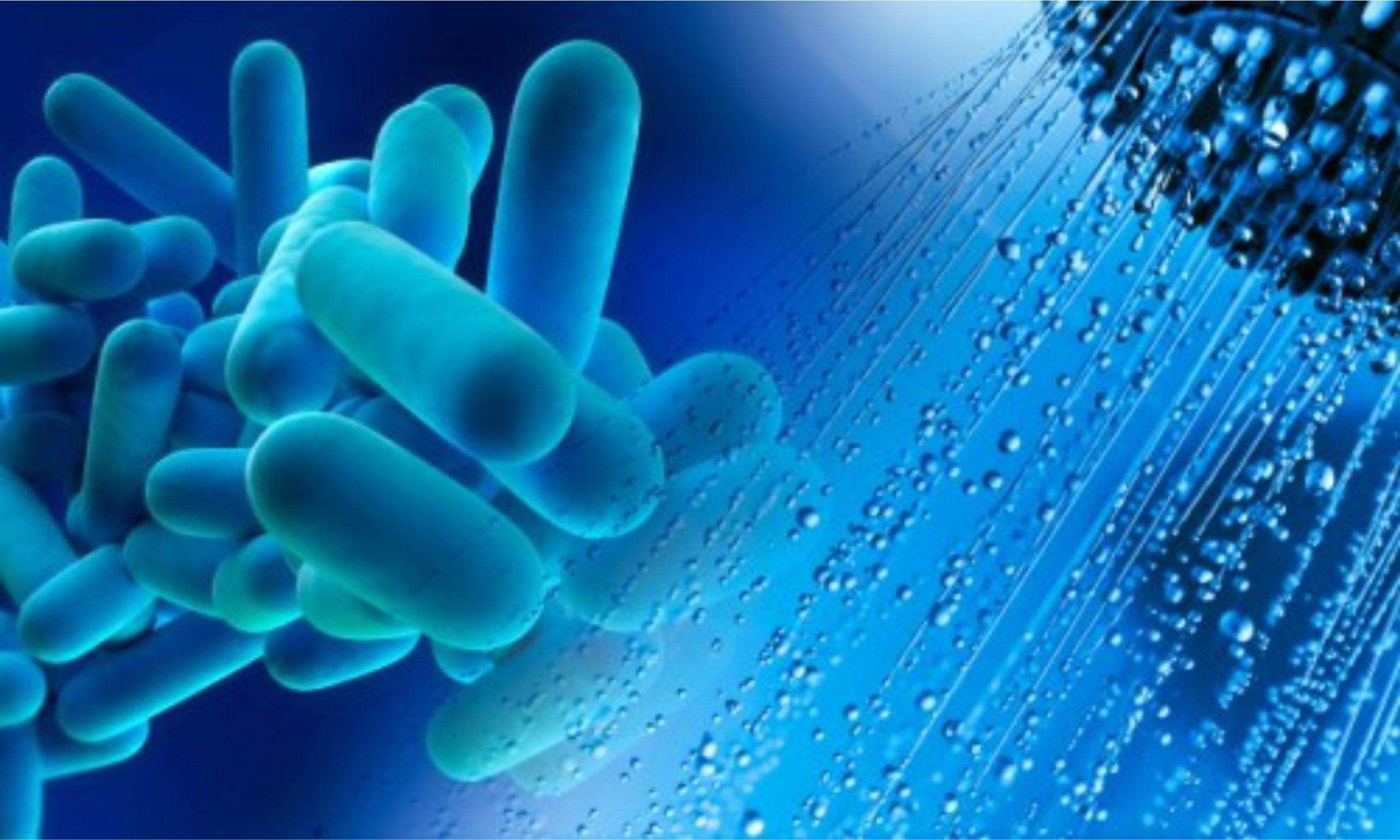 Representação ampliada da bactéria Legionella junto a gotículas de água